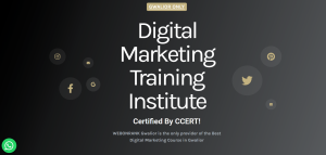 digital-marketing-training-institute